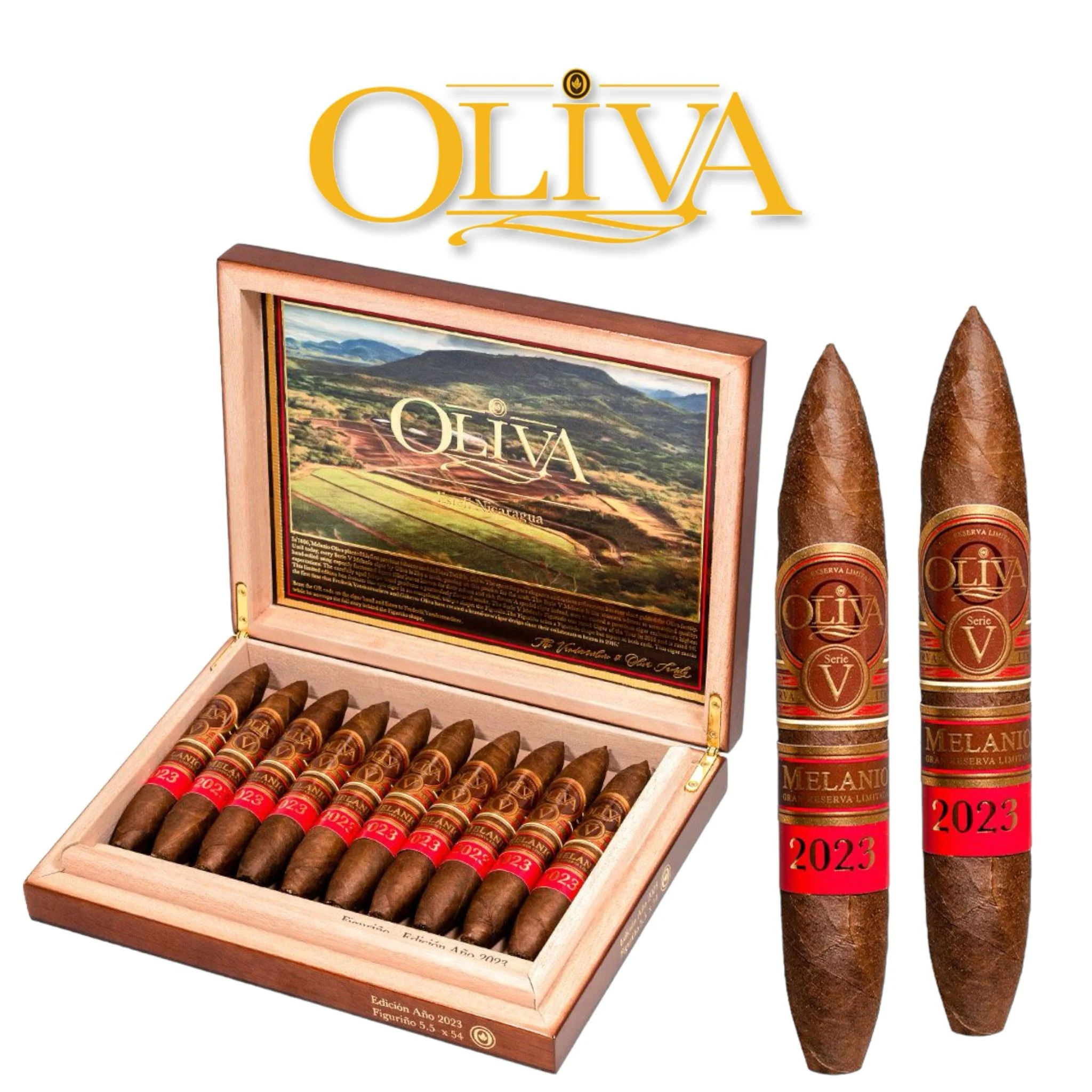 Oliva Melanio Edicion Ano 23 Figuarino-10ct
